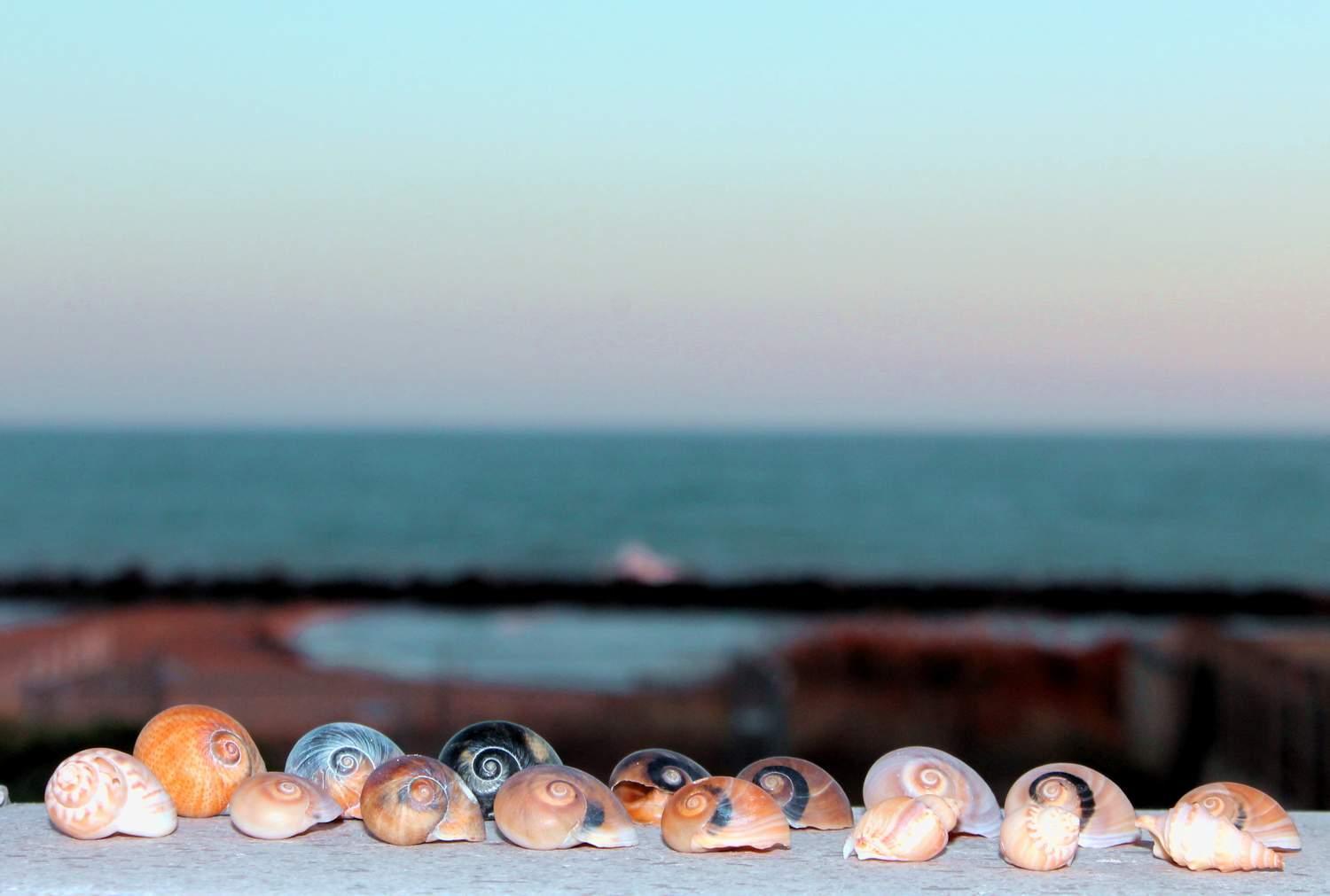 B&B Nettuno ซานเลโอเน ภายนอก รูปภาพ